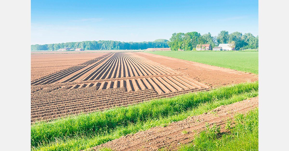 EU Mercosur agreement faces delay as trade imbalance weighs on fruit and vegetable sector