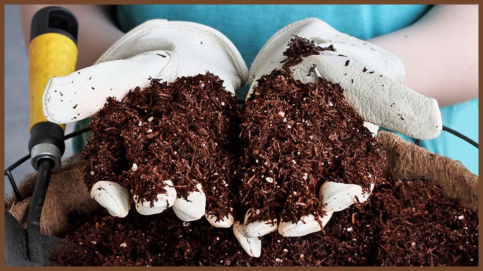 Coco Coir Market: Natural Fibers, Sustainable Agriculture & Growth Path