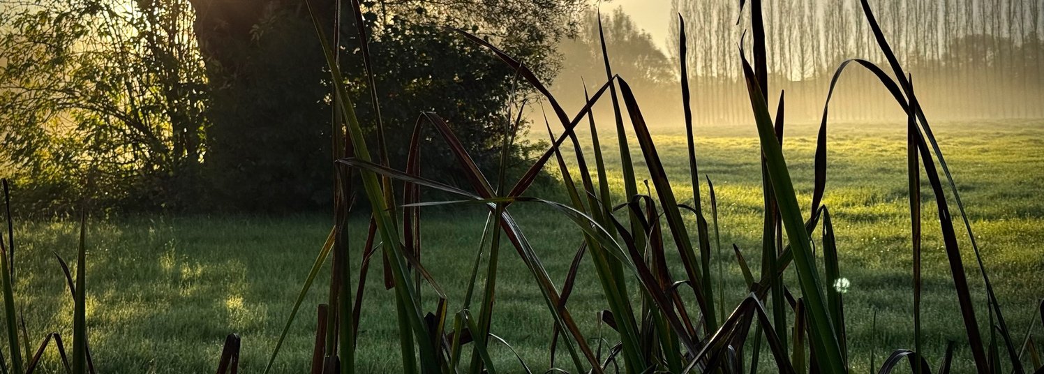 How Elements is redefining outdoor brand distribution