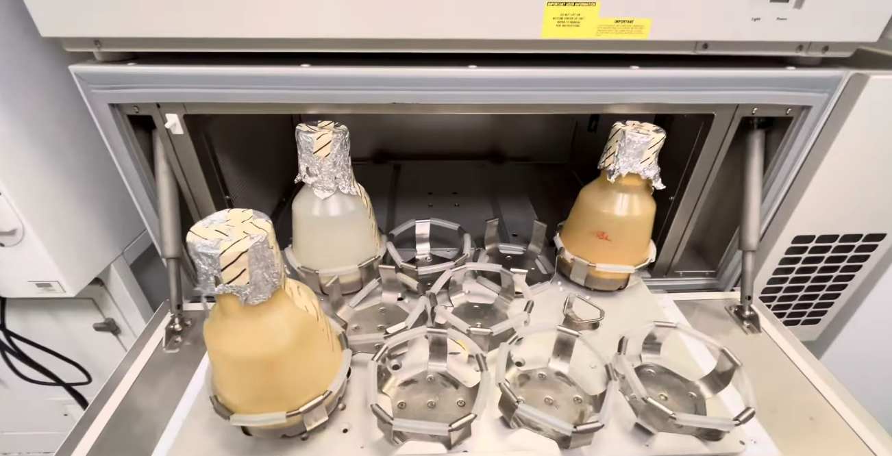 Why Research Collaboration Matters More Than Ever in Europe