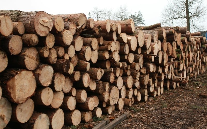 Europe Gets ‘Green Energy.’ These Southern Towns Get Dirty Air.