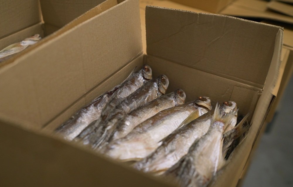 New digital CATCH certificate goes into effect in EU