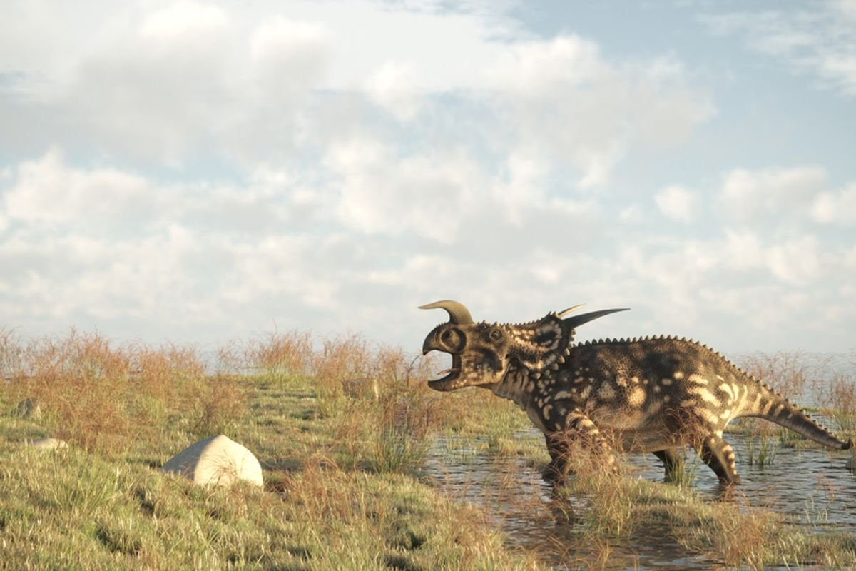 Discover Magazine Logo