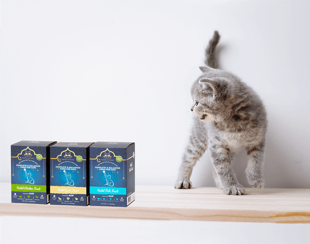 Halal pet food struggles to gain traction in Europe