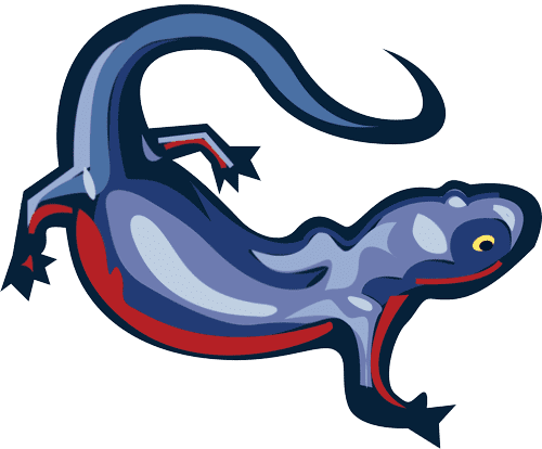 Dreame Technology to Showcase Tailored Cordless Solutions for Global Markets