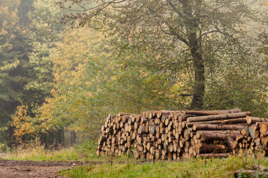 CapMan Reaches First Close on European Forestry Fund IV