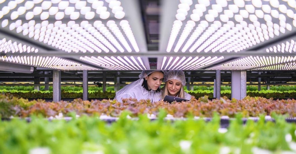 Fresh produce industry completes environmental footprint measurement standards