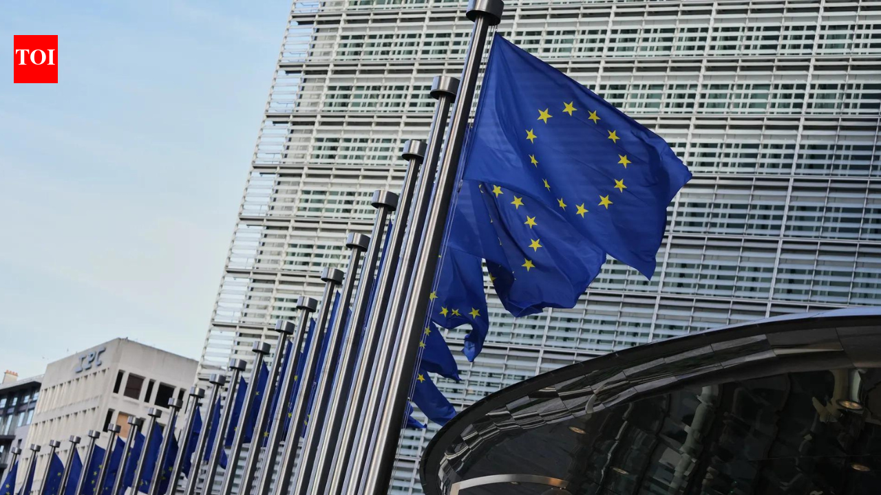 EU seeks clarity after US court blocks Trump tariffs, warns commitments must be honoured