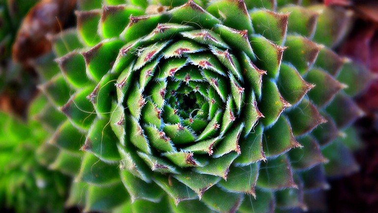 Ascendant Asia, uncertain Europe and cautious North America: digging into our sustainable investment survey