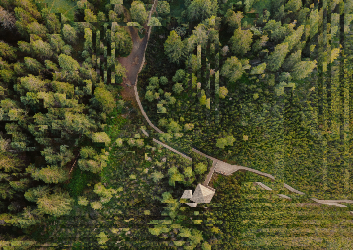 Bird's eye view photo of a small hut and a concrete path through a lush green forest. However, the image is slightly distorted by digital artefacts.