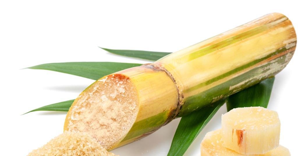 Emerald Ecovations unveils CPG board made from bagasse and FSC-certified fibres | Article