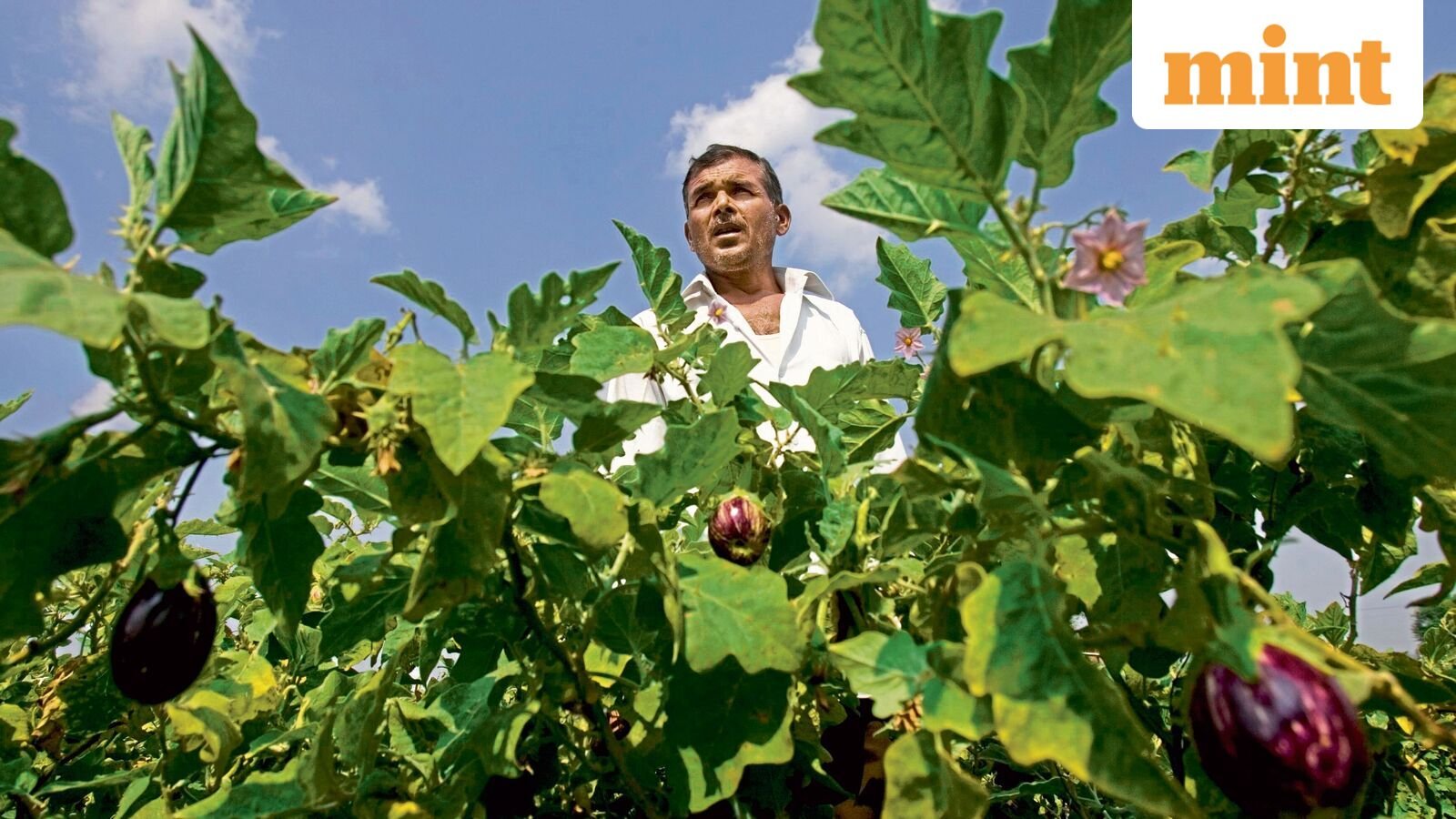 Does it brighten prospects for India’s agricultural exports?
