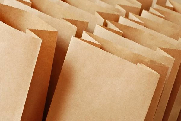Europe's Paper Bag Market Poised for Steady Value Growth With 2.8% CAGR Through 2035 - News and Statistics