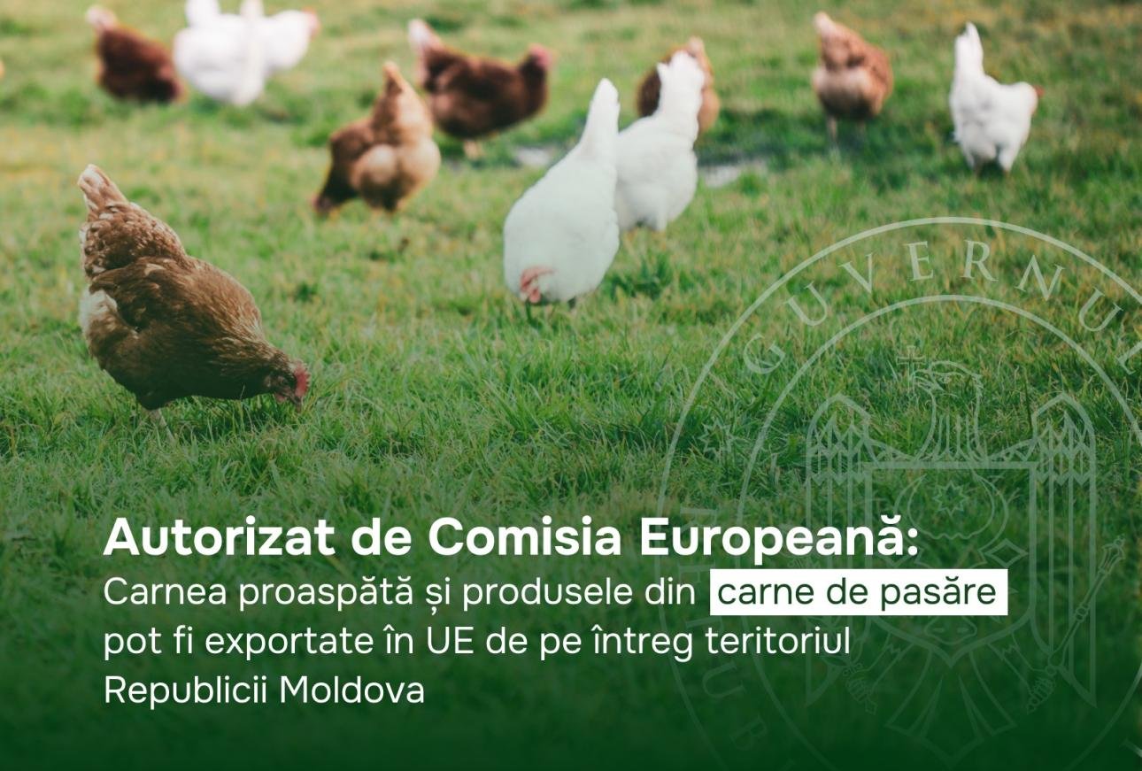 Fresh poultry meat, poultry meat products can be exported to EU from entire territory of Moldova
