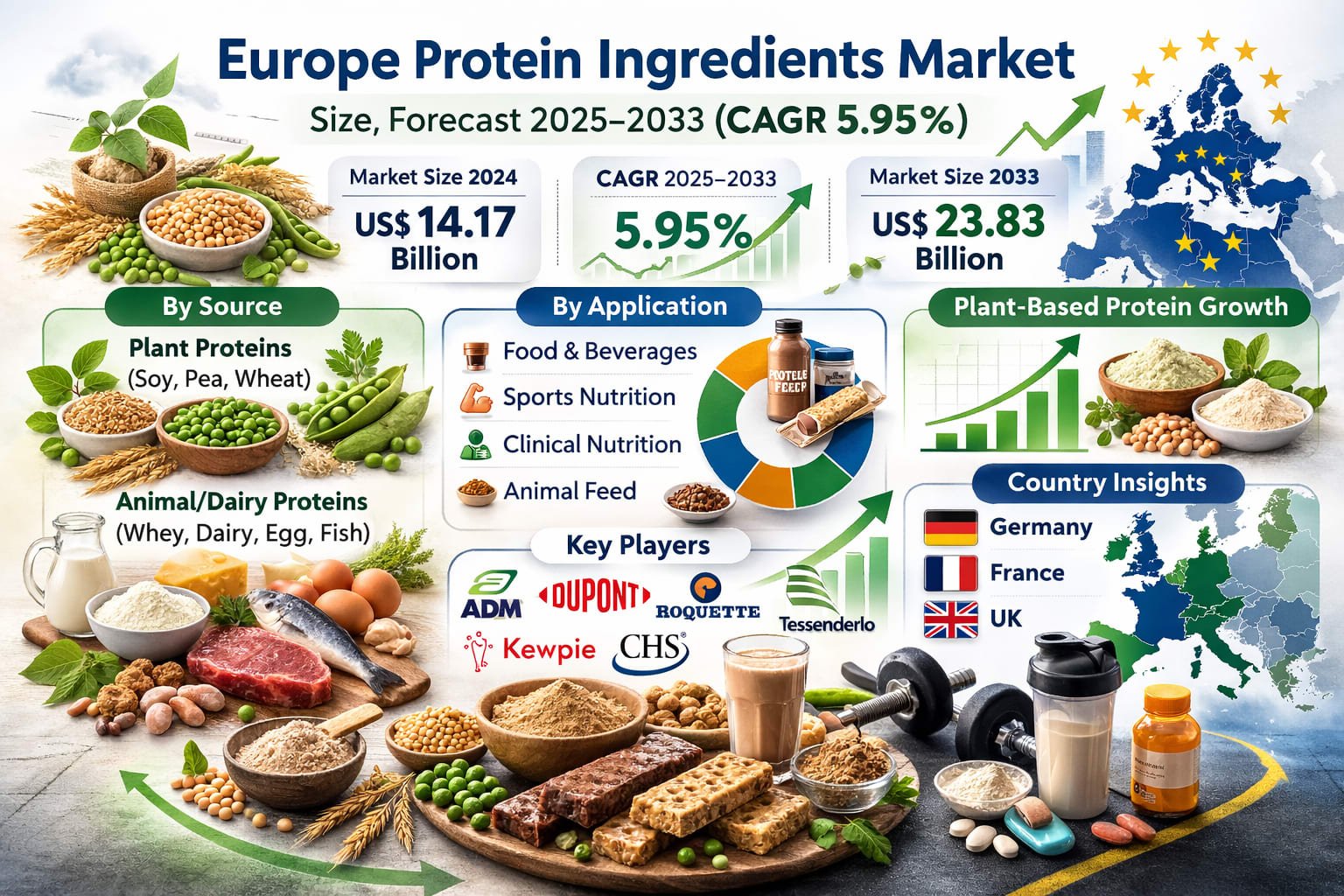 Europe Protein Ingredients Market Size and Forecast 2025–2033