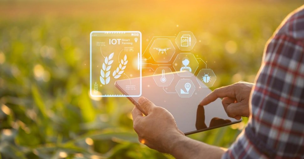 vai alla homepage de Il Sole 24 Ore