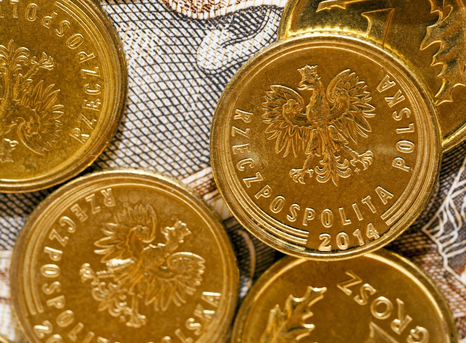 Poland’s startups see capital return in 2025