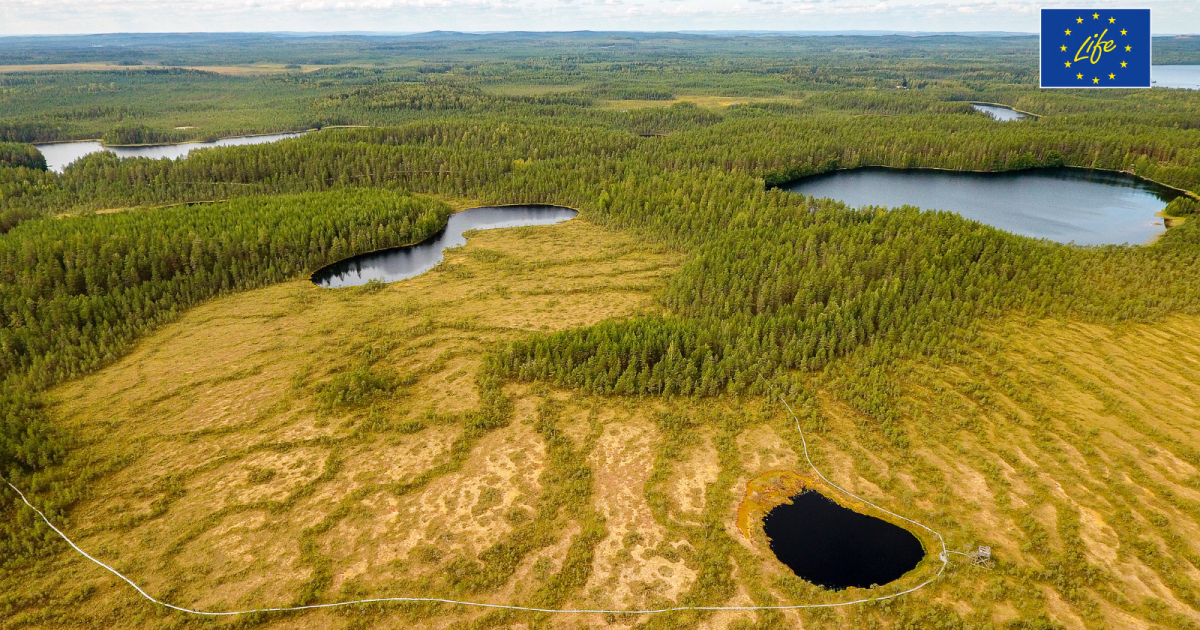 Bringing water back to Finland’s wetlands
