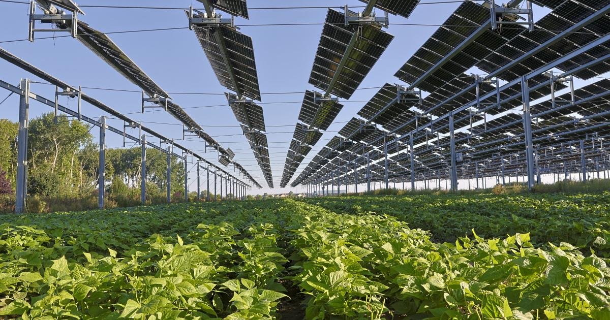 Urban-rural innovation divide: new metrics reveals rural regions that excel