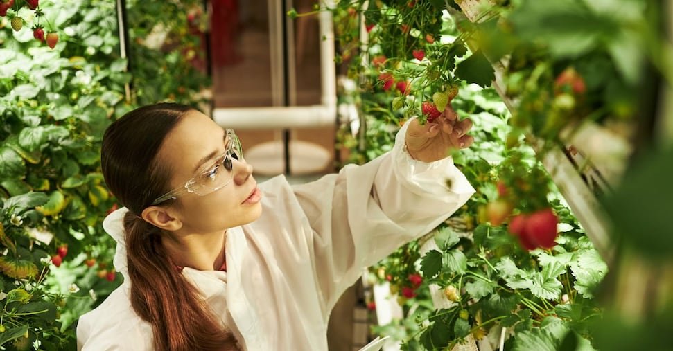 vai alla homepage de Il Sole 24 Ore