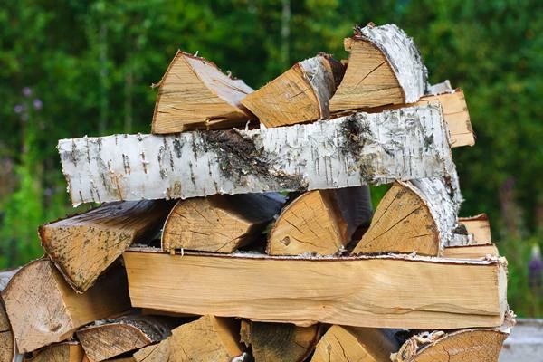Europe's Wood Fuel Market Set To Reach 198 Million Cubic Meters and $18.8 Billion - News and Statistics