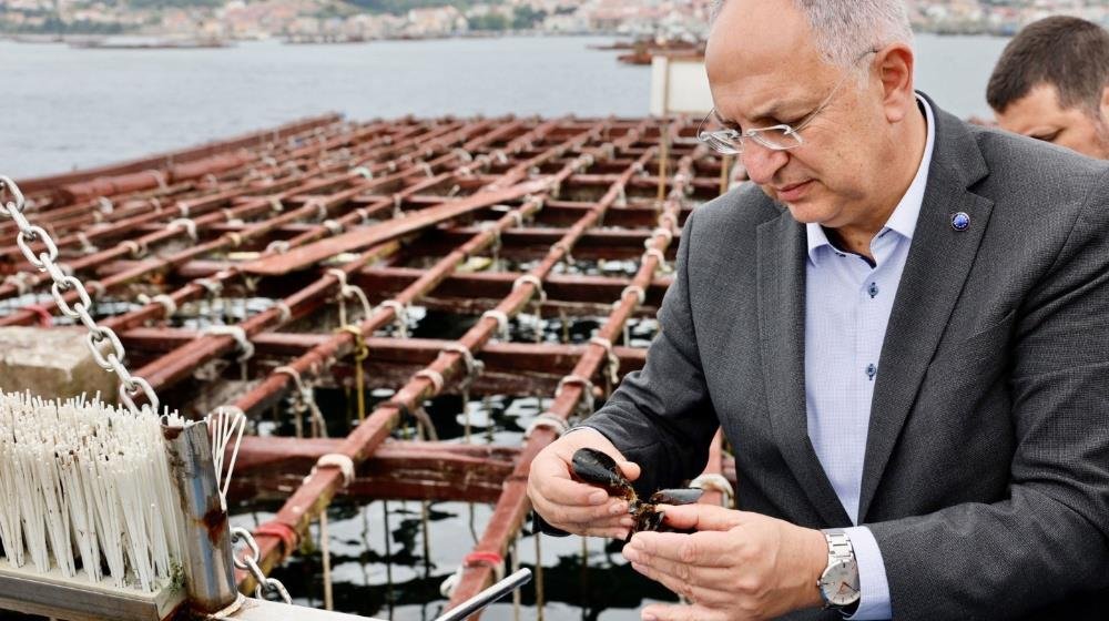 IN Business July 2025