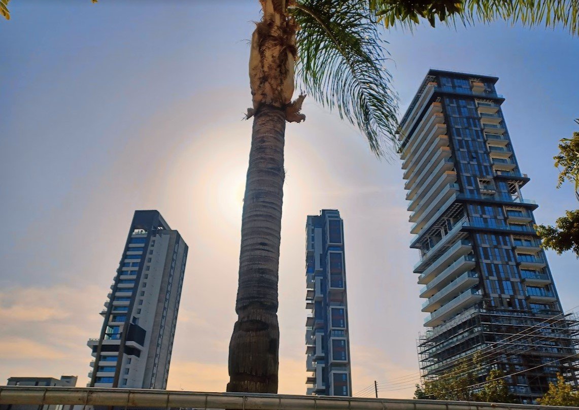 cover Cyprus Business News: startups, tourism, shipping, digital euro, vehicle registrations