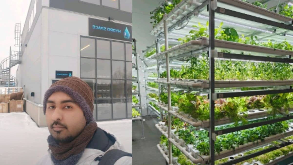 'Eviction, Not Exit’: Indian Entrepreneur Sells Startup, Quits Sweden, Calls System 'Xenophobic and Hostile'