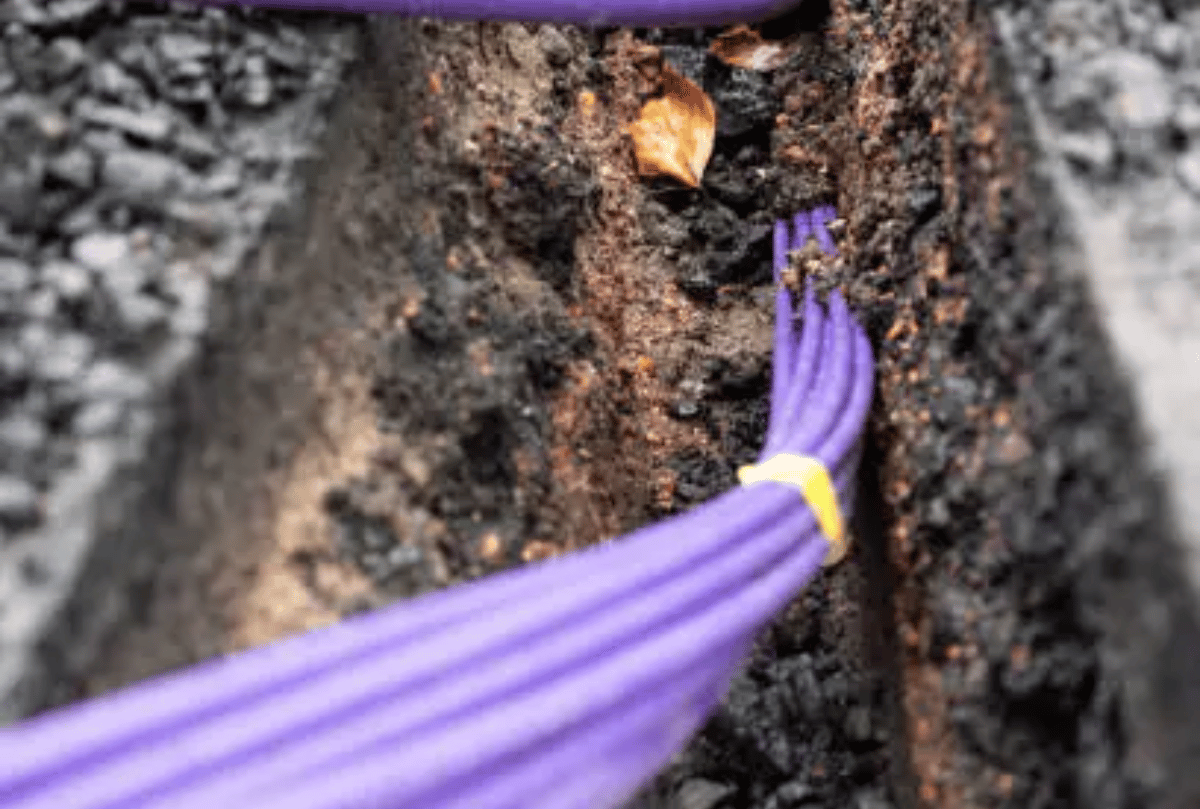 Project BRIDGE Secures $100M from EBRD and €22M EU Grant to Boost Nigeria’s Digital Infrastructure