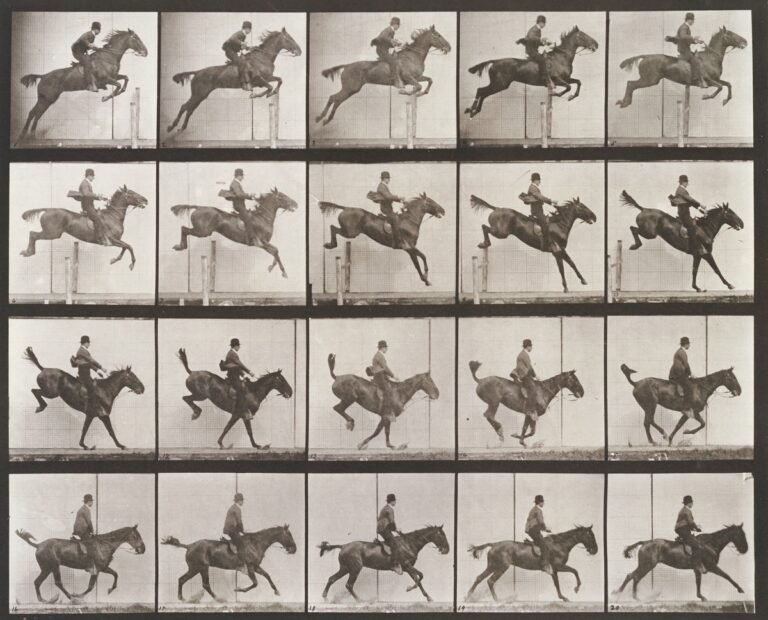 What 120 million cups of tea and a 100-year runway say about AI