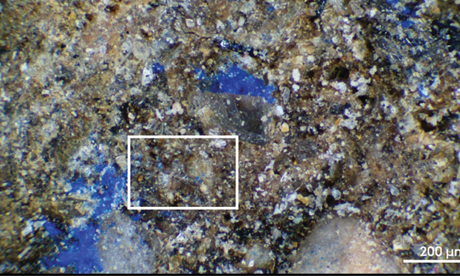 Forgotten museum object holds Europe’s oldest blue pigment