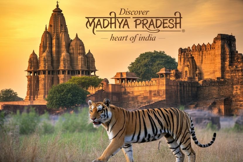Madhya pradesh focuses on heritage, wildlife, and spiritual tourism for a more immersive travel experience.