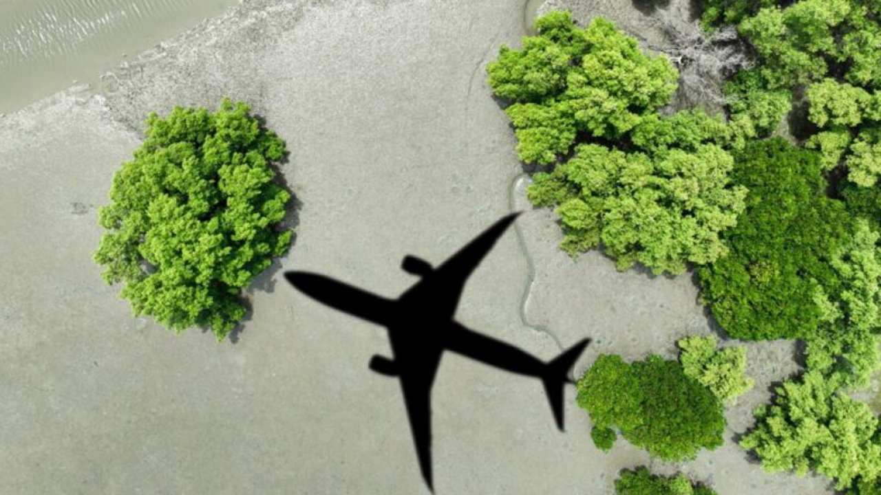 IATA calls for a review of the EU emissions system to protect the competitiveness of the aviation sector