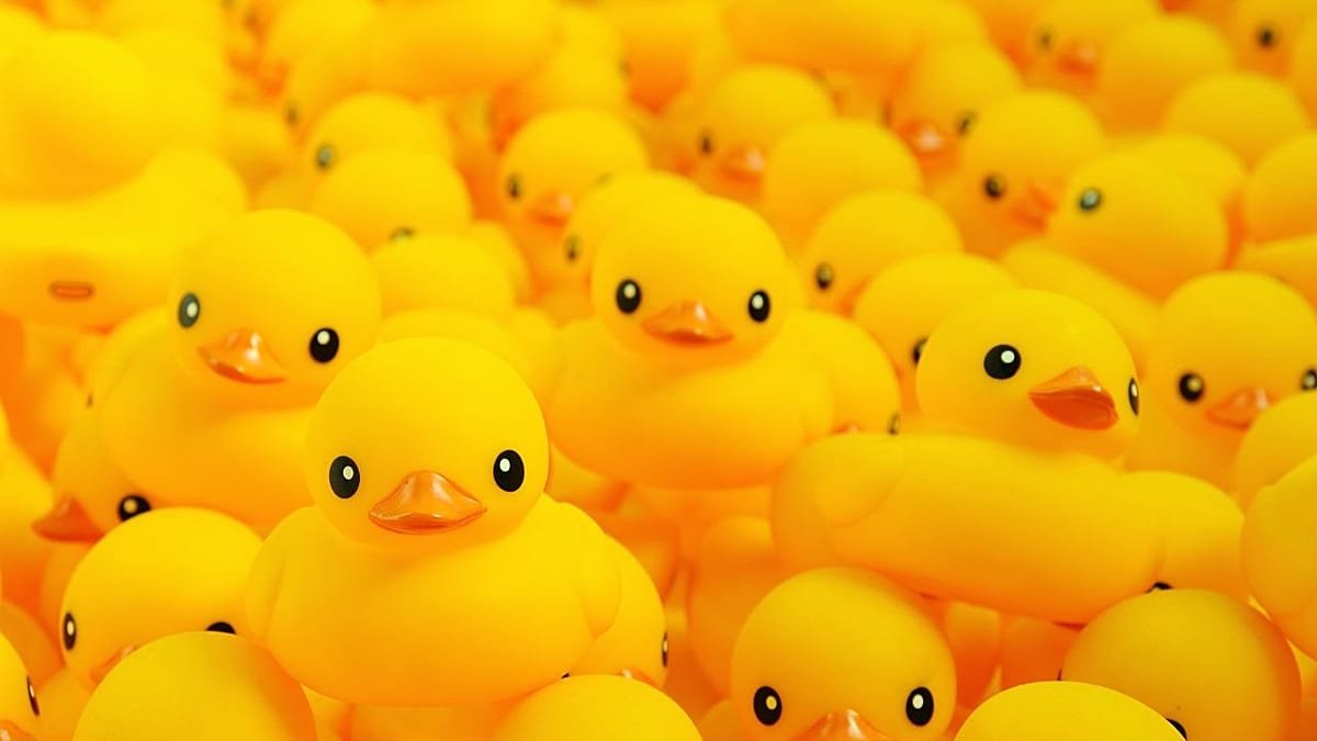 Is the DMA a chicken or a duck? Why the DMA predestines European companies and consumers to lose