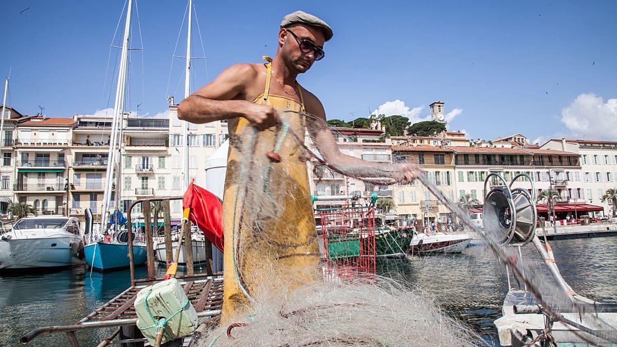 ‘Not that optimistic’: As 30x30 goals falter, can an Ocean Act save Europe’s waters?