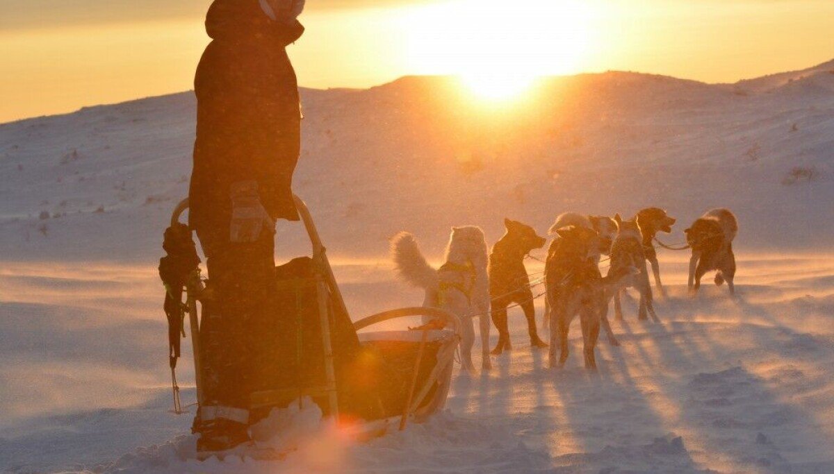 Europe’s longest dog-sled race hit by Russian GPS jamming