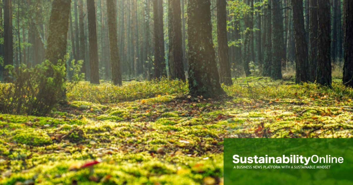 European forests are growing faster than they are being harvested