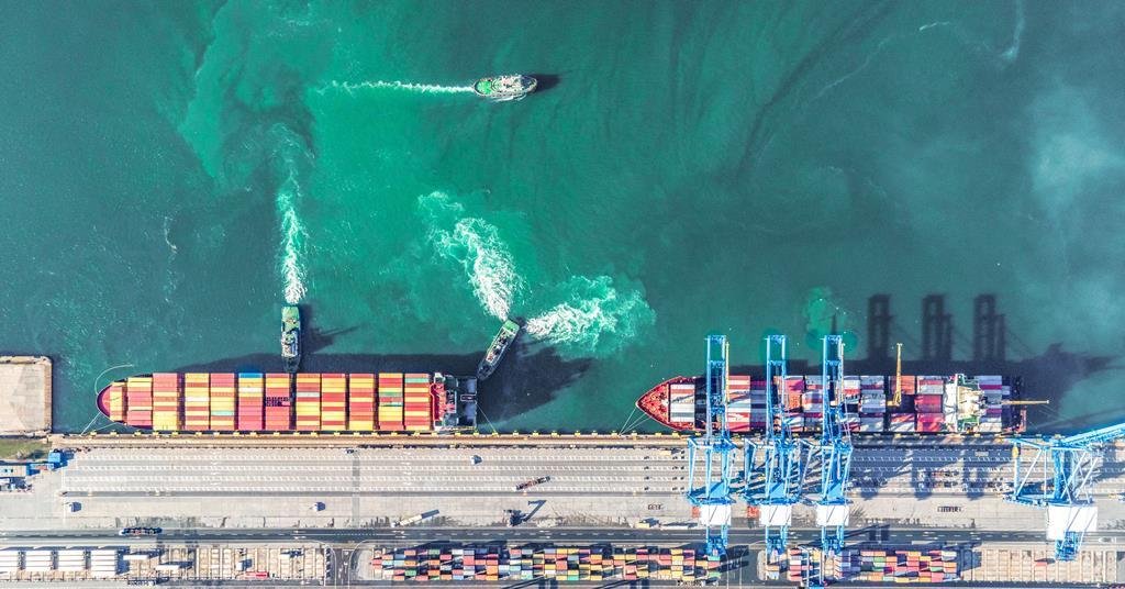 DP World targets coastal ecosystem revival | News