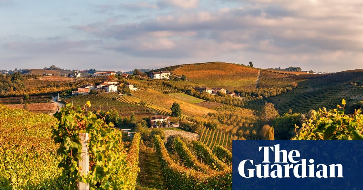 European wine, chocolate and cars to become cheaper in Australia amid landmark trade deal with EU | Australia news