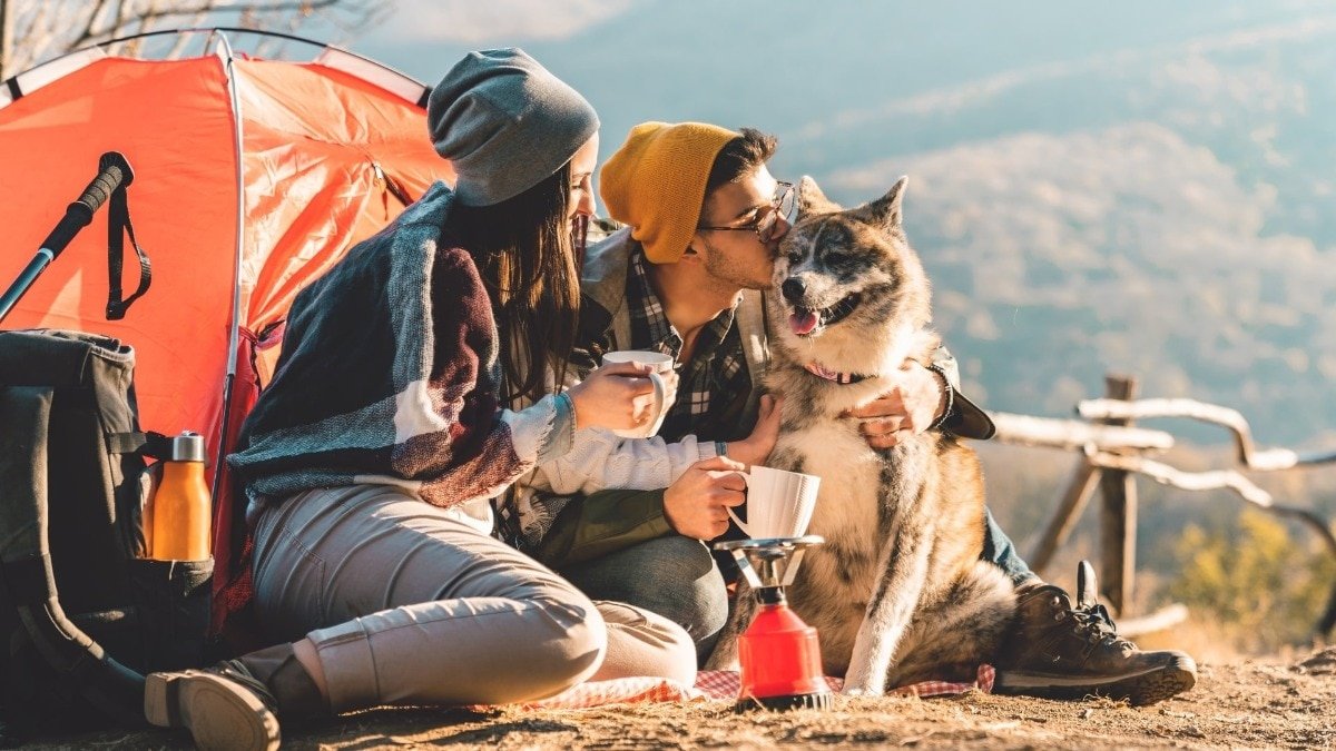 Trusted Source Badge