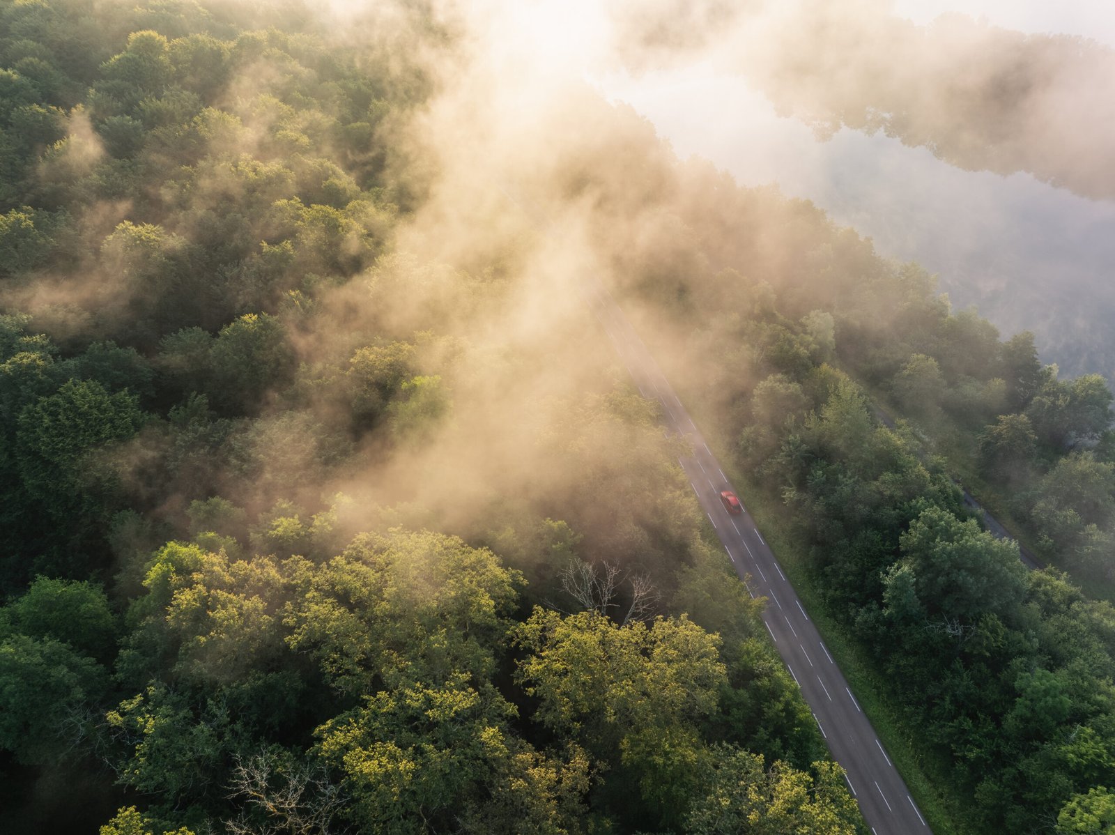 Stellantis see surging registrations in EU new-car market