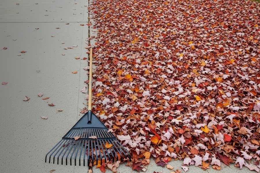 Major revision to shake up the bankruptcy landscape | China