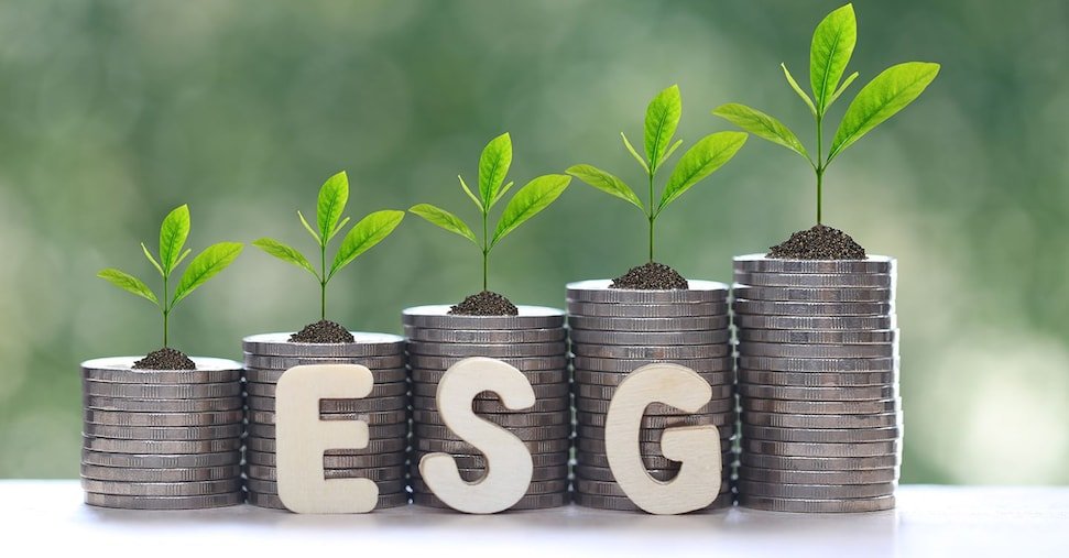 vai alla homepage de Il Sole 24 Ore