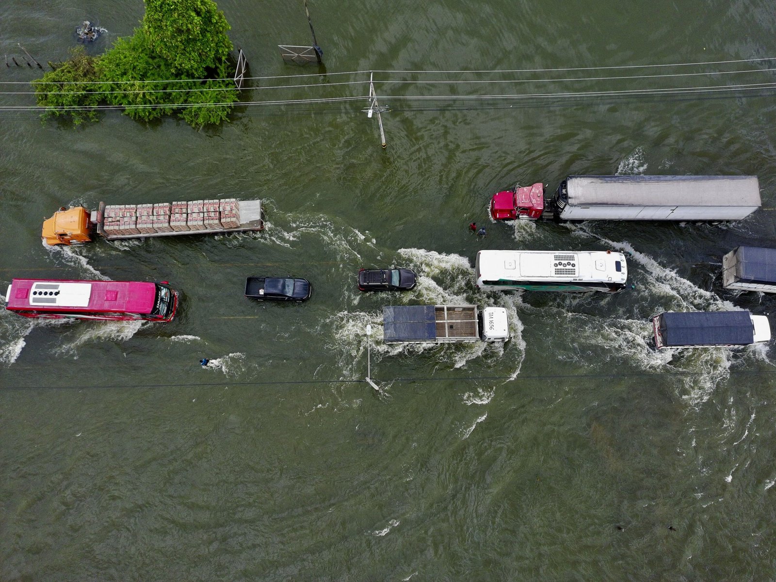 Five global sustainability shifts redefining corporate risk in 2026