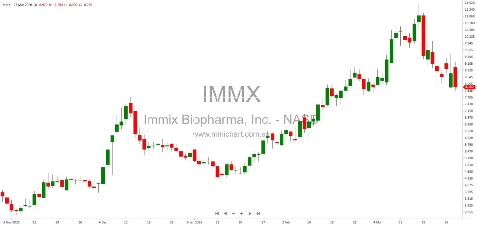 Financial Statements, Auditor Correction, and Company Overview – Minichart