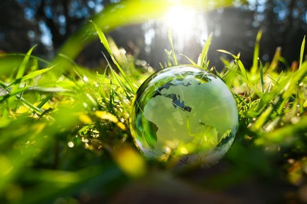 EU establishes bioeconomy group to boost bio-based ingredient production