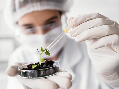 Europe Plant Growth Regulators Market