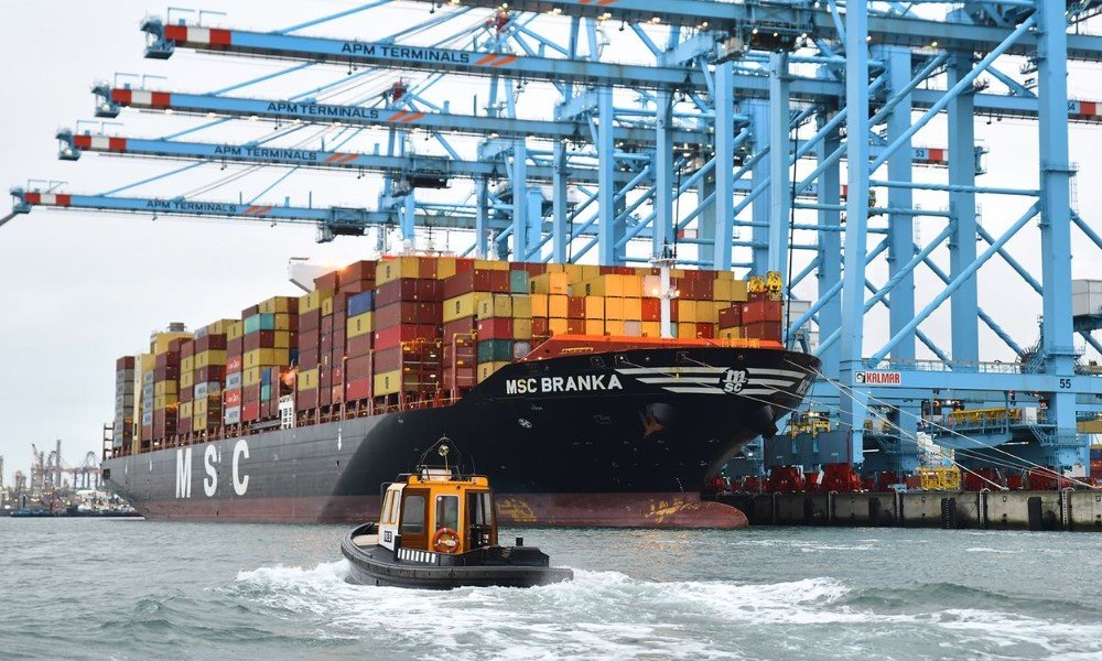 Rotterdam secures $104m to plug boxships into shore power