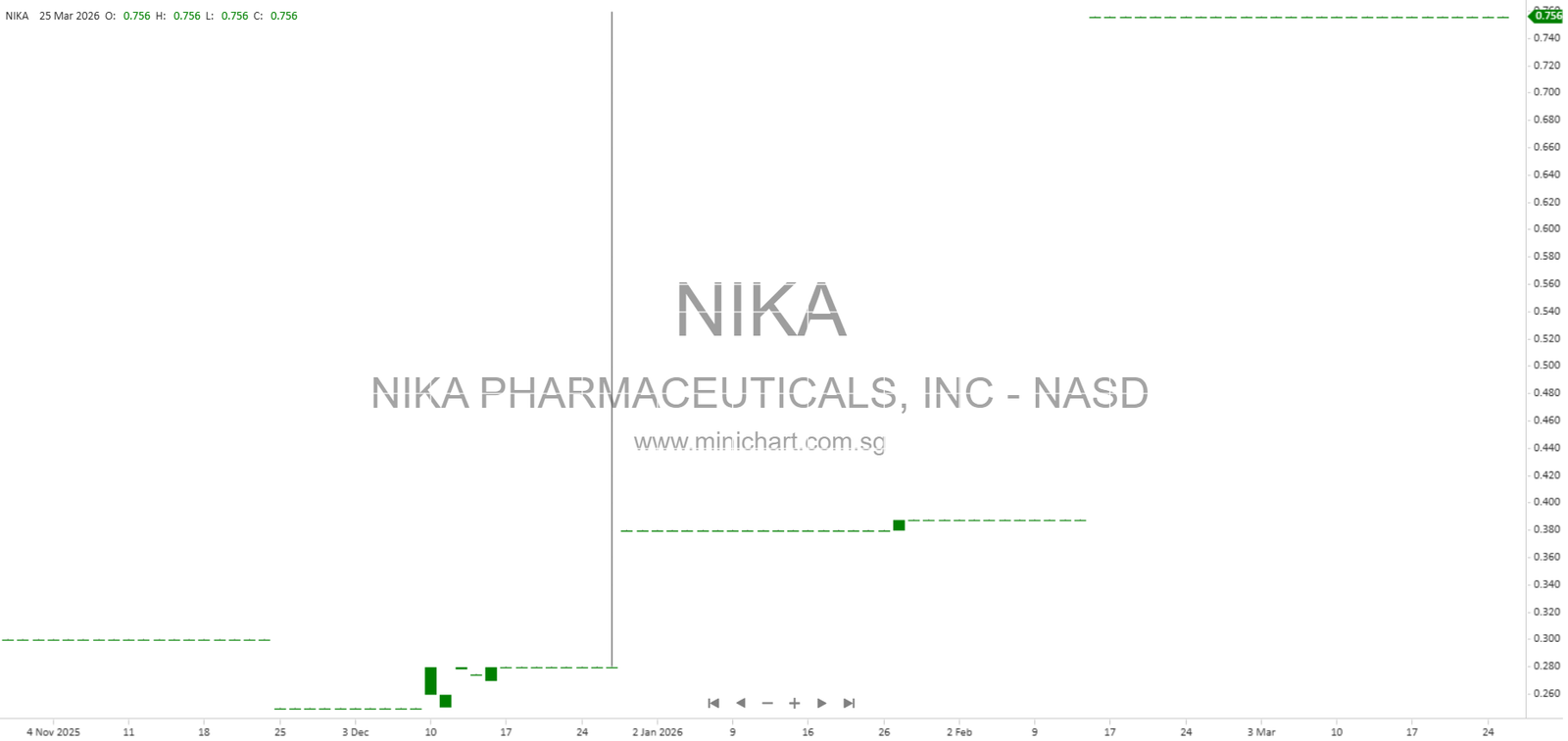 Financials, Business Overview, and Key Risks – Minichart