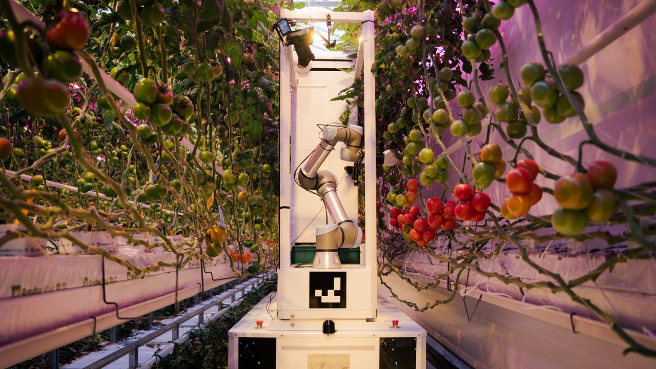 German Startup Eternal.Ag Launches Fully Autonomous Harvesting Robot to Tackle Greenhouse Labor Shortage